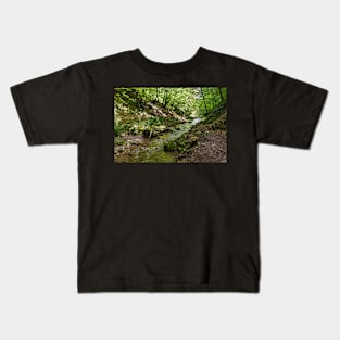 Mountain river flowing through valley Kids T-Shirt